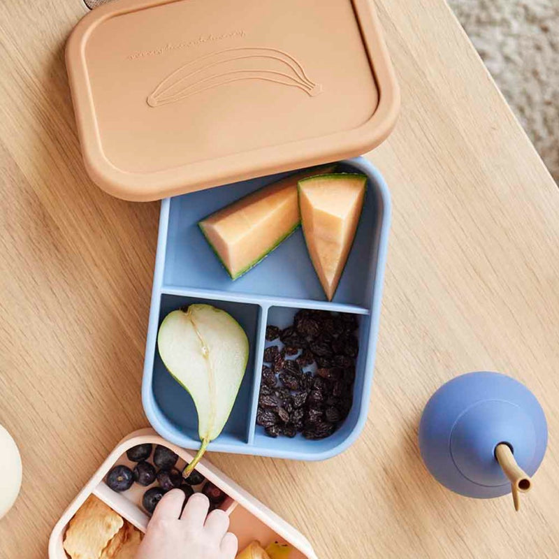 Yummy Lunch Box - Small - Blue / Clay