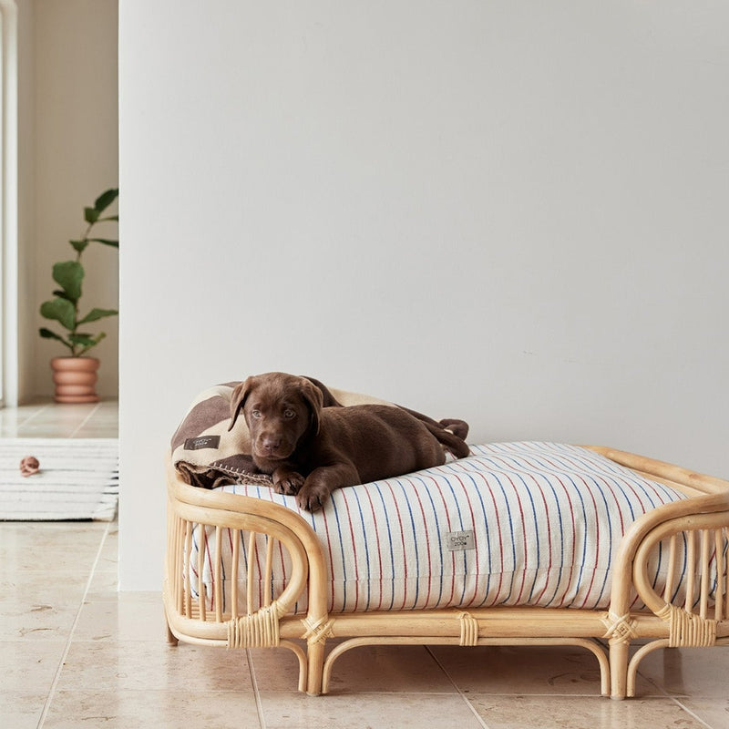 Otto Dog Bed - Medium